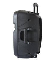 2025 12 pouces échantillon gratuit disponible système de son HIFI professionnel 60W haut-parleurs de moniteur de scène active pour Home cinéma en plein air