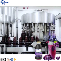 Ligne complète automatique de remplissage de jus de raisin en bouteille