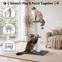 Griffoir pour chat de 34 pouces de hauteur pour chats de grande taille, base stable, gris