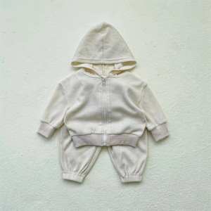 Prix d'usine – Nouveaux ensembles de vêtements pour bébés garçons, 2 pièces, tenues d'automne, sweat-shirt à manches longues, t-shirt uni, haut à capuche, ensembles de vêtements pour bébés - Product Image 2