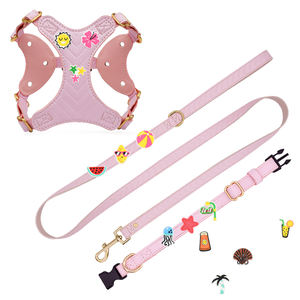 カスタムデザイナー人気でエレガントなソフトレザー犬のハーネスとリーシュセットPVCかわいいステッカーバッジペットアクセサリー卸売 - Product Image 6