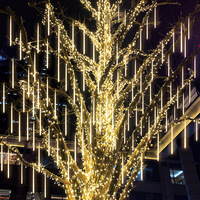 Guirlandes lumineuses LED solaires pour extérieur, étanches IP44, effet pluie de météores, décoratives pour arbres, avec télécommande à clé.