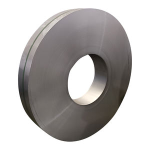 แถบโลหะสแตนเลส - Product Image 1