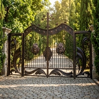 Porte d'entrée principale extérieure de luxe en fer forgé, décorative, avec motifs de portails en fer, pour maison de campagne et jardin