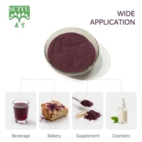 Extrait de Cassis en Poudre Qualité Alimentaire 100% Hydrosoluble Haute Teneur en Anthocyanes Extraction par Solvant Emballage Fût 20kg