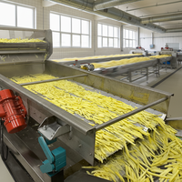 Volledig automatische industriële machine voor het maken van fruit, groente en gebakken aardappelchips, lijn voor diepvriesfrieten, friteuse, aanpasbare snijmachine