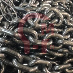 Cadena de Elevación HLM con Certificación ISO Grado 100, Alta Resistencia a la Rotura, para Elevación en Fábricas y Maquinaria - Product Image 2