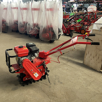 Nuevo Tipo de Tractor Walkbehind/Mini cultivador rotativo Autopropulsado/cultivadores agrícolas Mini máquina cultivadora de cadena