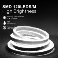 Bande lumineuse LED néon 110V-220V AC, flexible, IP65, RGB, certifiée RoHS, contrôle automatique, 5m, utilisation intérieure/extérieure