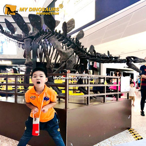 Mon Dino Grandeur nature Dinosaure Stégosaure Squelette Pour Center Commercial - Product Image 2
