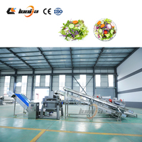 500kg/u Chicory Groentewasmachine vortex Groentewasmachine Broccoli Spinazie Salade Reinigingslijn