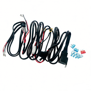 Faisceaux de câblage pour éclairage ponctuel à LED avec interrupteur à fusible relais en gros, faisceau de câblage à 2 fils - Product Image 4