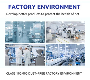 Thuốc giảm nhiễm nấm men OEM/ODM cho chó-giảm kích ứng & viêm-Làm dịu ngứa, Điều trị nhiễm trùng tai - Product Image 5