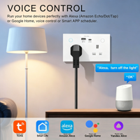 Prise murale double intelligente WiFi Royaume-Uni 13A avec 2 ports USB-A USB-C en verre trempé IP21 compatible Tuya Smart Life Alexa Google Home