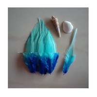Plumes d'oiseaux naturelles longues et pointues bicolores Soraj Enterprises, artisanat de luxe fait main pour projets artistiques DIY, mariages, fêtes et décoration intérieure