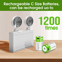 Baterai Lithium Isi Ulang C2 Ukuran Sedang dengan Port Tipe-C Pengisian Langsung 1.5V 5000mAh 1200 Siklus Penggunaan untuk Audio/video