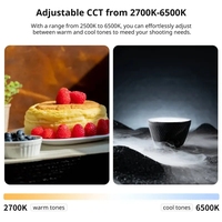 Ulanzi UA20 20W Lampe à air portable à tube lumineux bicolore 2700K-6500K en TPU gonflable pour photographie de nature morte, portrait et diffusion en direct