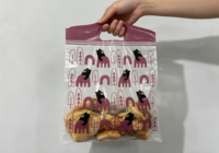 Sachet refermable en plastique PE givré imprimé sur mesure pour desserts, pâtisseries, voyages, emballage alimentaire, réfrigérateur