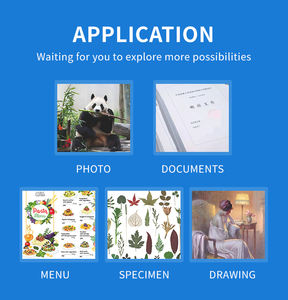 Fundas de Laminación Térmica PET de Alta Calidad de 125 micras, A4, Personalizables, Protectoras, Semirrígidas para Uso Doméstico - Product Image 6