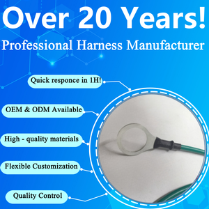 ODM OEM ขั้วต่อสายไฟ320761 TE แกนทองแดงหุ้มฉนวนพีวีซีเคลือบดีบุกชุบ AWG10สายไฟที่กำหนดเอง - Product Image 6