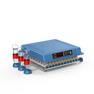 <span class=keywords><strong>Incubateur</strong></span> automatique à double douchette de 300 œufs Couveuse à œufs de caille Mini couveuse à 200 œufs - Product Image 1