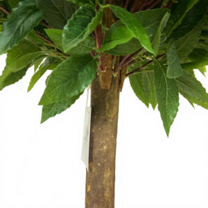 Árbol Artificial de <span class=keywords><strong>Laurel</strong></span> de 72cm de alta calidad, planta Artificial, árbol de bonsái de imitación, árbol Artificial para decoración de interiores - Product Image 5