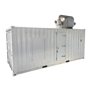Generatore a Gas Silenzioso Generac 20KW 30KW 40KW 50KW a GPL Monofase e Trifase a Gas Naturale per Uso Residenziale - Product Image 4
