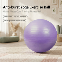 Mini-ballon de Pilates 25 cm en PVC anti-éclatement pour l'équilibre, le renforcement du tronc, le yoga, la stabilité, l'entraînement physique et les séances à domicile