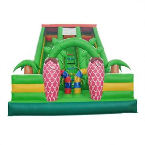 Tobogán Inflable WINSUN Squirrel Slide para Niños y Adultos, Comercial, Atractivo, de PVC, para Jardín, Educativo, Color y Tamaño Personalizables - Product Image 1
