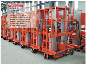 Plataforma Elevadora Vertical de Aluminio de 6 <span class=keywords><strong>m</strong></span>, 8 <span class=keywords><strong>m</strong></span>, 10 <span class=keywords><strong>m</strong></span> y 12 <span class=keywords><strong>m</strong></span> con Doble <span class=keywords><strong>M</strong></span>ástil para una Persona, Certificación CE - Product Image 4
