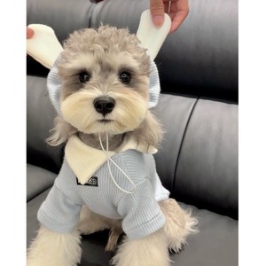 Gilet à capuche bleu lune pour animaux de compagnie, léger, à porter au printemps et en automne, pour petits chiens Teddy Bichon Pomeranian - Product Image 1