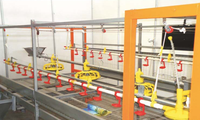 Système d'alimentation automatique à vis sans fin pour poulailler QA – Meilleur prix pour mangeoire et abreuvoir automatiques pour cages à poulets