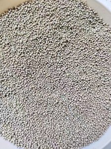 Struvite bản đồ phân bón 2-3mm bóng hạt 12 <span class=keywords><strong>P</strong></span> - Product Image 5
