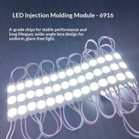 Module LED extérieur étanche IP66 SMD 12V 108LM rose pour enseignes lumineuses, lettres lumineuses, boîtes à lumière, moulage par injection, publicité