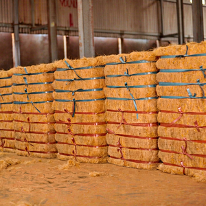 Fibra de Coco Natural Dorada de Primera Calidad al por Mayor, 100% Natural, en Fardos de 100 kg, 3% de Impurezas, Material Limpio para Relleno de Colchones - Product Image 1