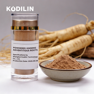 Kodilin <span class=keywords><strong>Ginseng</strong></span> Zellkultur 10g Hochwertiger Aponin-Energiebooster für Nahrungsergänzungsmittel Pulverisierte <span class=keywords><strong>Ginseng</strong></span>-Adventitiouswurzeln - Product Image 1