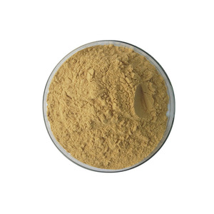 Flavonoïdes de feuille de kaki 10% Extrait de feuille de kaki Matière première Poudre de feuille de kaki Flavonoïdes de kaki - Product Image 2