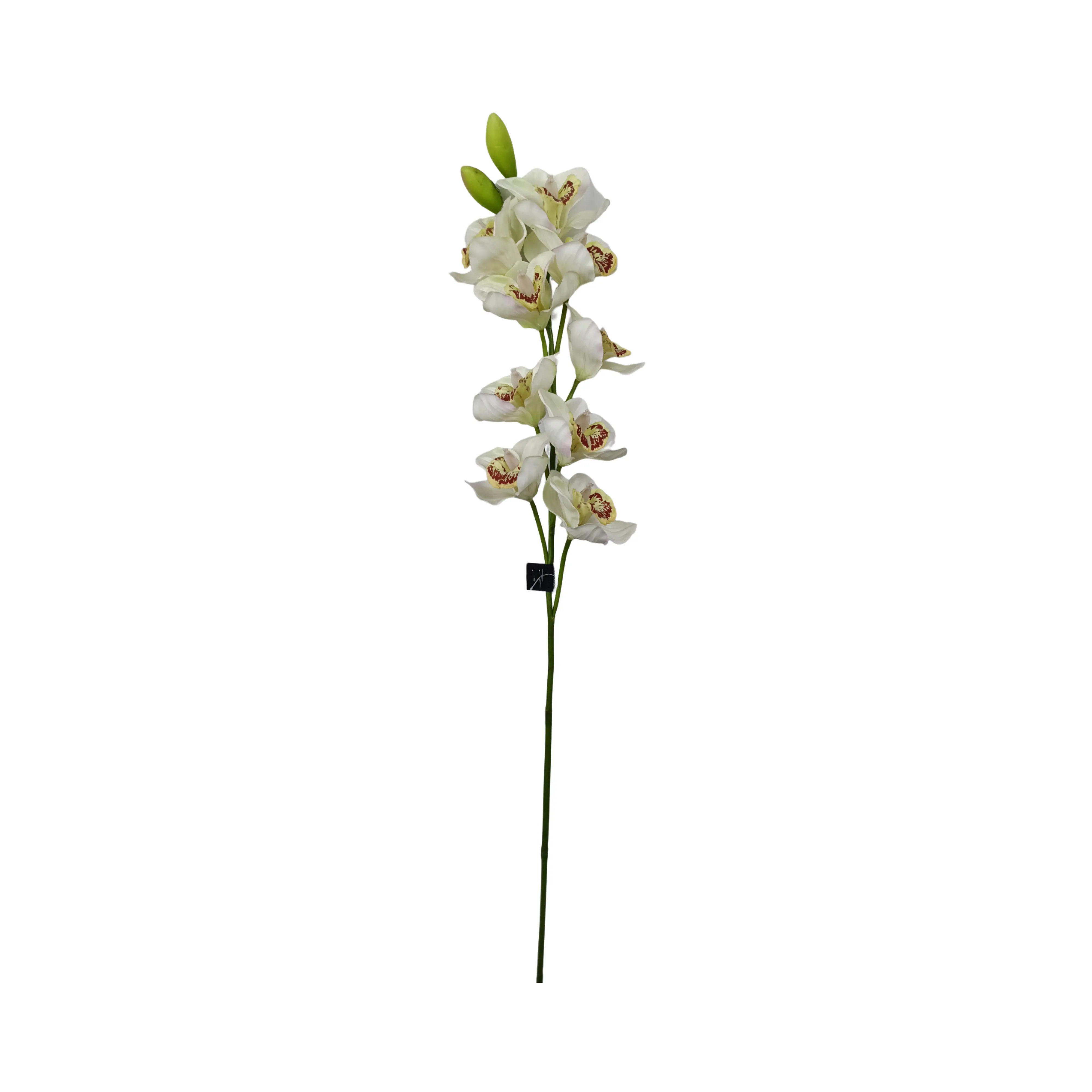 Flor de orquídea de látex artificial real toque branca 9 cabeças de orquídea de cimbídio para decoração de casamento