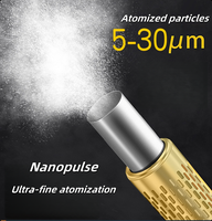 Pulvérisateur thermique à moteur essence pour la lutte antiparasitaire, directement de l'usine, à bas prix