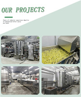 Ligne de production automatique de frites surgelées certifiée CE 500/1000/2000/3000/5000 kg/h Prix usine