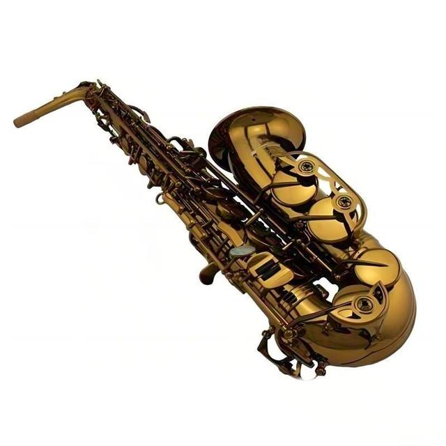 Eastern Music Brand Popular Champagne Gold Lacquer Finish Brass Body Eb Alto Saxophone Students Beginners Performance Rust