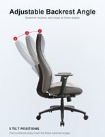 Chaise de bureau ergonomique avec accoudoirs multifonctionnels 3D et plateau coulissant, base en nylon gris – Fournisseur d'usine