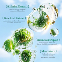 Pencuci Mulut Herbal Bebas Alkohol Pemutih Gigi Nafas Segar Pembersih Gigi Mendalam Label Pribadi Grosir 100ml