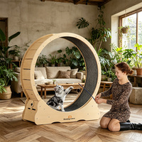 Roue d'exercice silencieuse en bois pour chat, tapis roulant pour chats d'intérieur avec griffoir, jouet de fitness, équipement d'exercice pour animaux de compagnie