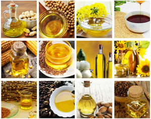 Hiệu suất cao copra-vít-dầu-báo Chí Moringa vít dầu Báo Chí vít dầu Báo Chí máy Phụ tùng - Product Image 2