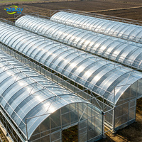 Serre agricole professionnelle multi-travées en film CE, tunnel en acier galvanisé avec refroidissement par ventilateur