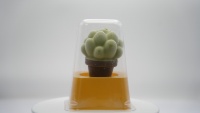 Glace sur bâtonnet en forme de plante, crème glacée exotique premium, 70g, saveur lait, texture soyeuse et crémeuse, dessert