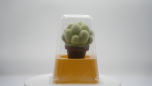 Crème glacée en forme de succulente, saveur fruitée, nouvelle arrivée, certifiée Halal, durée de conservation de 18 mois, en boîte – Meilleure vente - Product Image 6