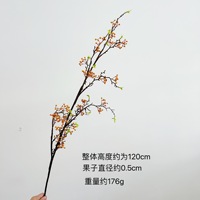 Kunstfruit, uit de bergen, rode kleine bessen, kunstmatige fruittakken in Chinese stijl, woondecoratie
