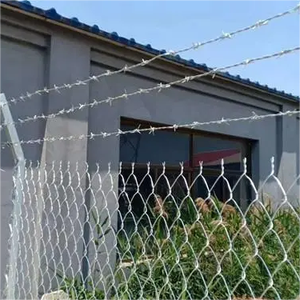 Alambre de púas de acero galvanizado en caliente con revestimiento de PVC de 2.5 mm al por mayor para seguridad y protección - Product Image 6